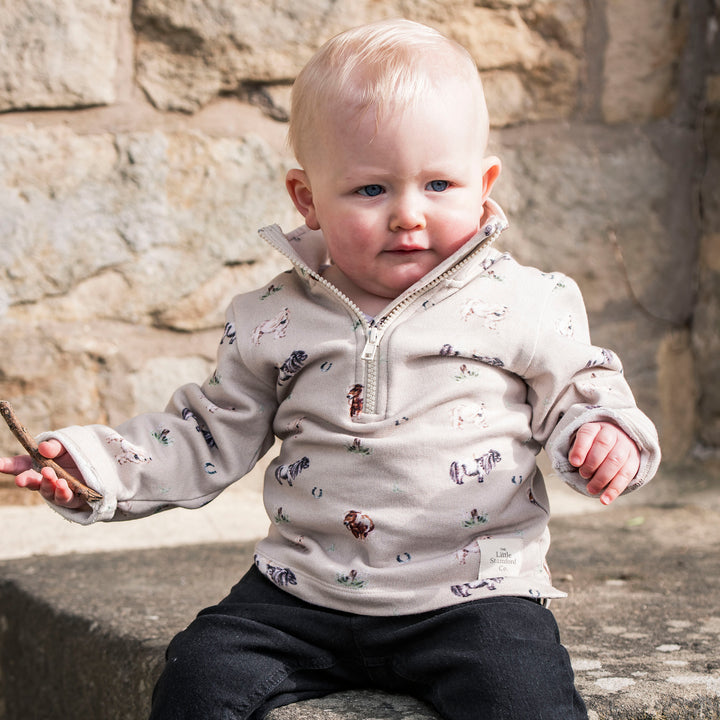 The Little Stamford 1/4 Zip Sweatshirt - Pony