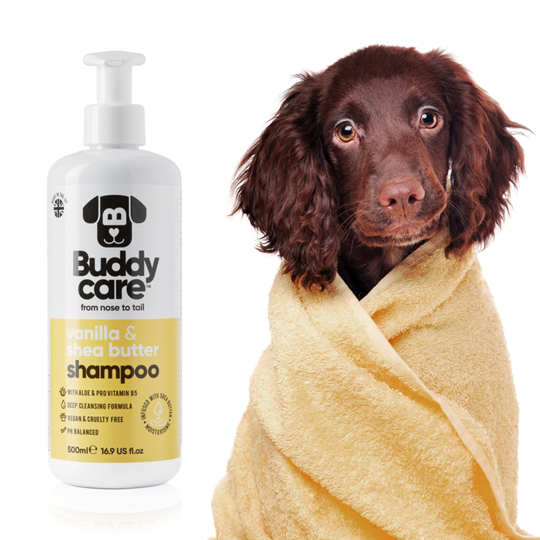 Buddycare Vanilla Shea Butter Shampoo