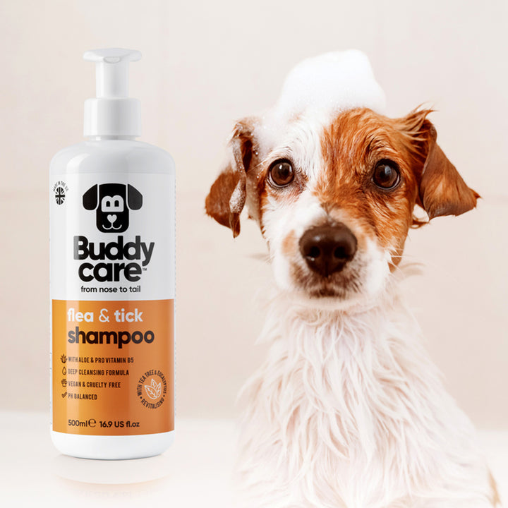 Buddycare Flea & Tick Shampoo