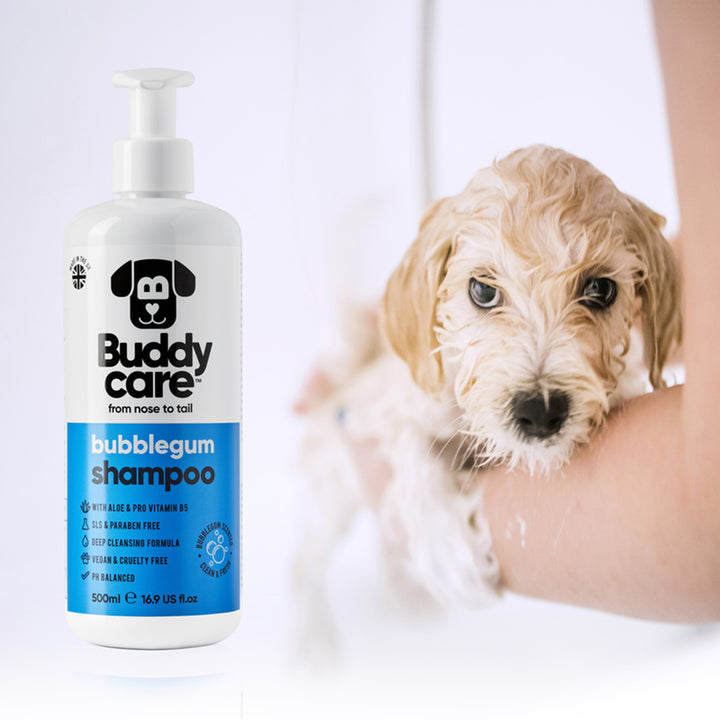 Buddycare Bubblegum Shampoo