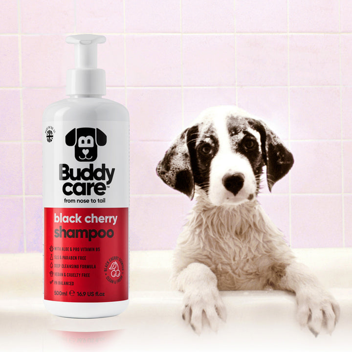 Buddycare Black Cherry Shampoo
