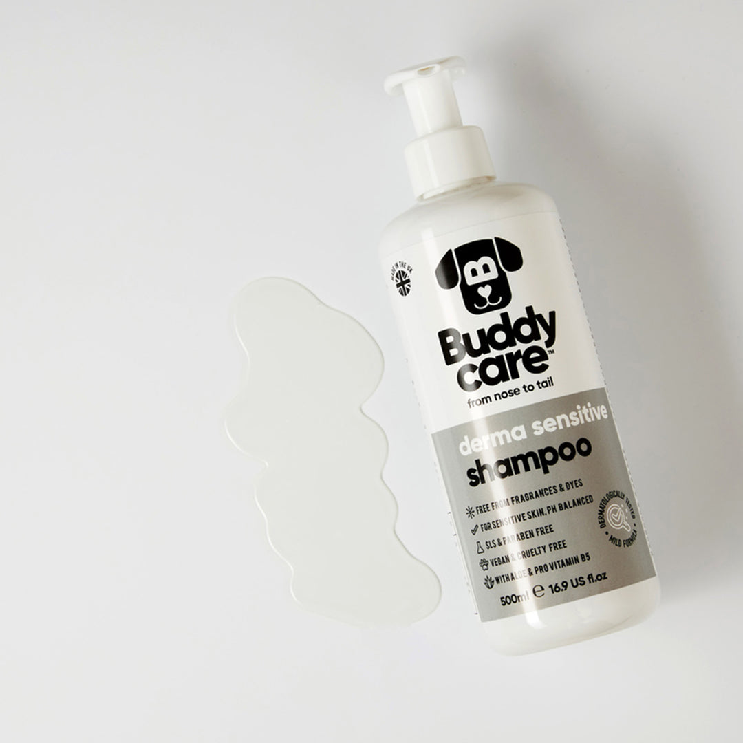 Buddycare Derma Sensitive Shampoo