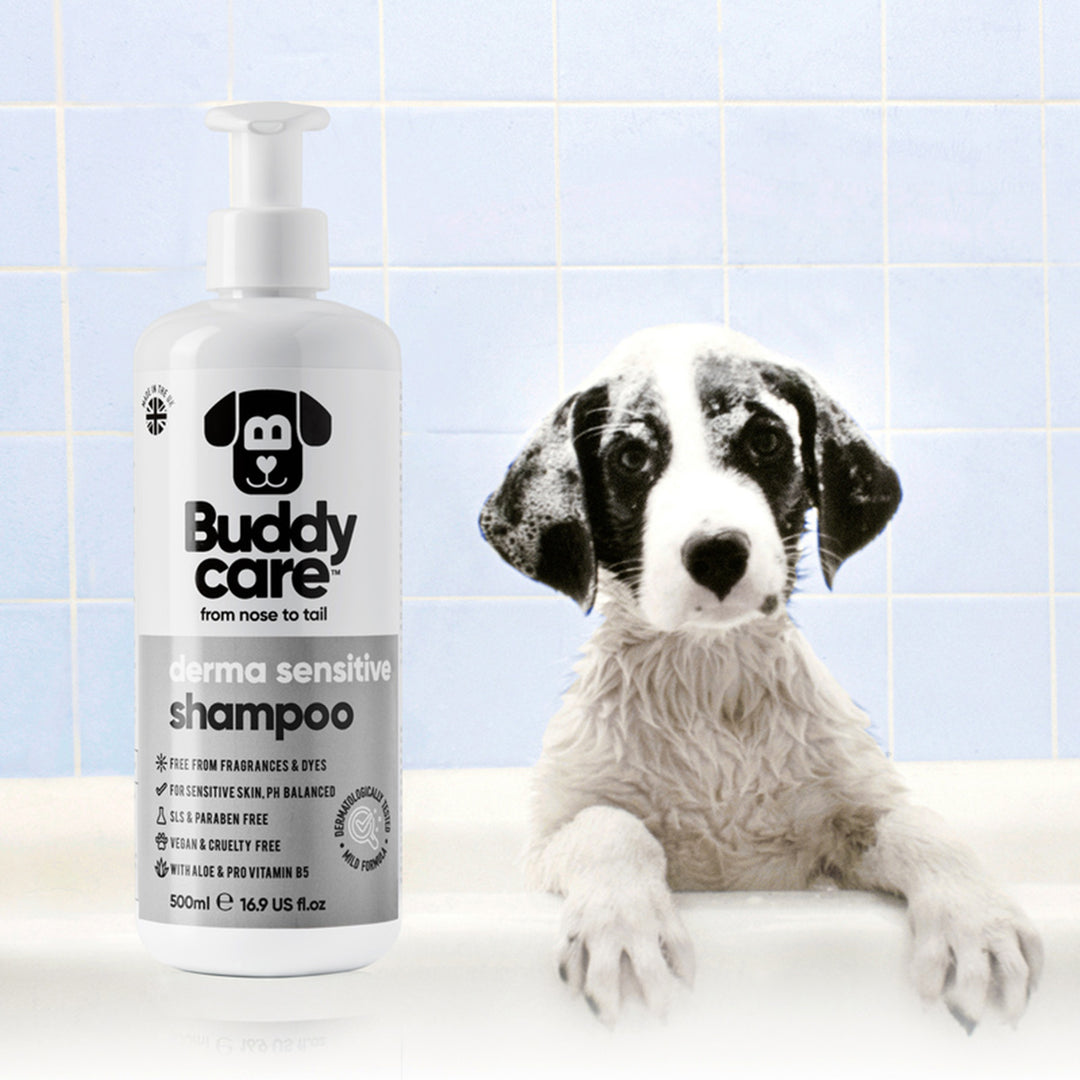Buddycare Derma Sensitive Shampoo