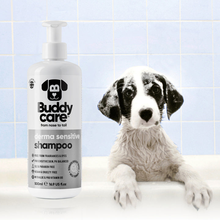 Buddycare Derma Sensitive Shampoo