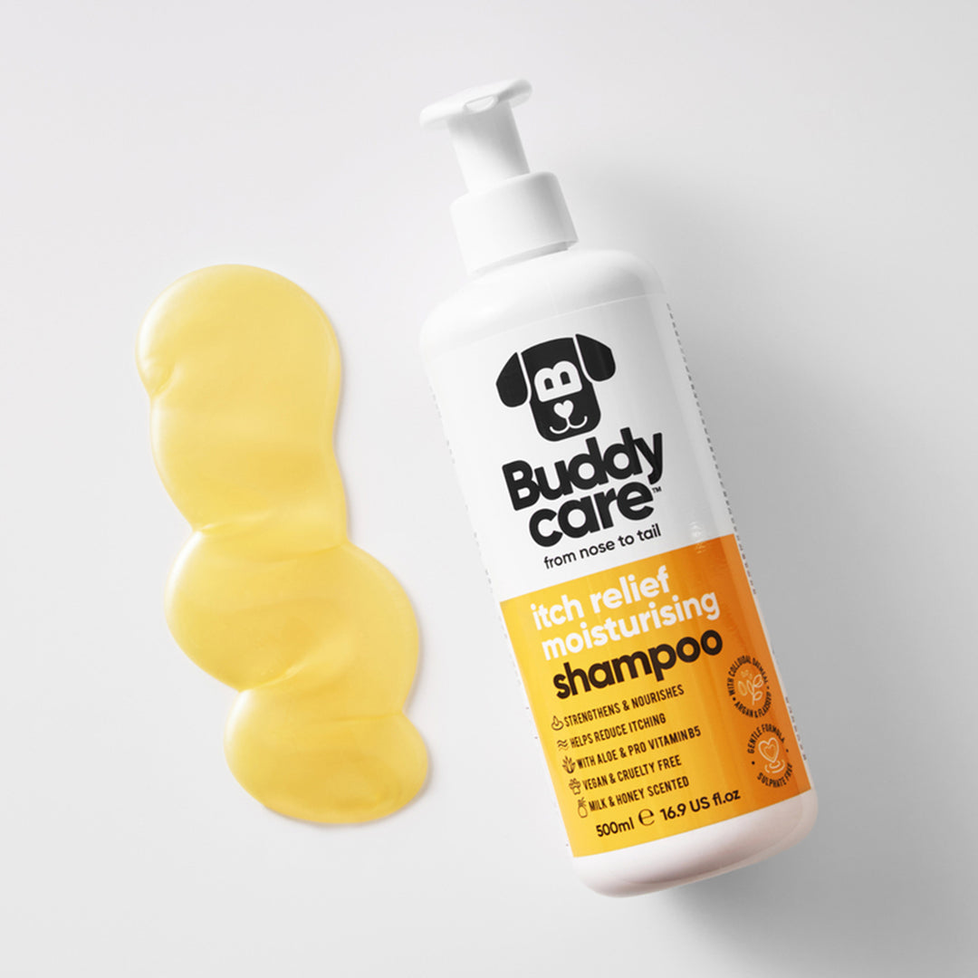 Buddycare Itch Relief Shampoo