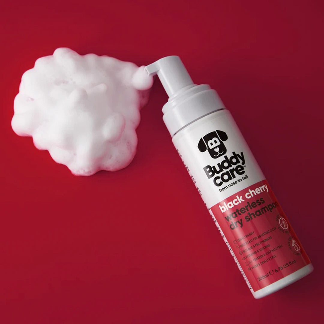 Buddycare Black Cherry Dry Shampoo
