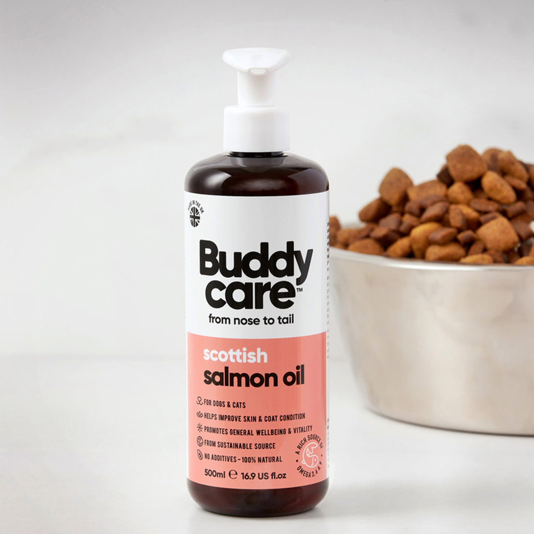 Buddycare Scottish Salmon Oil