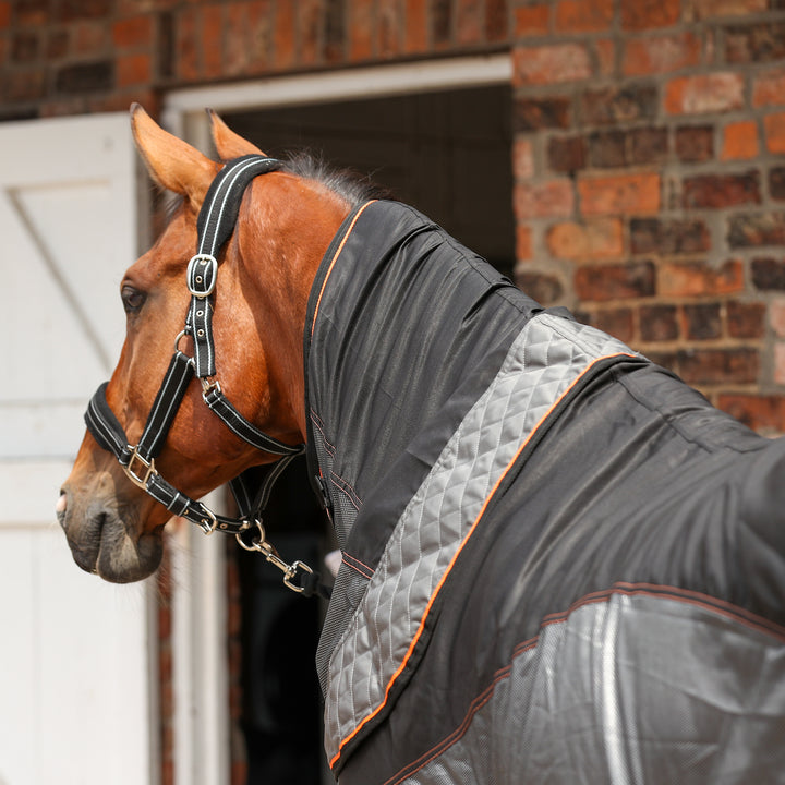 Equilibrium Therapy Magnetic Rug