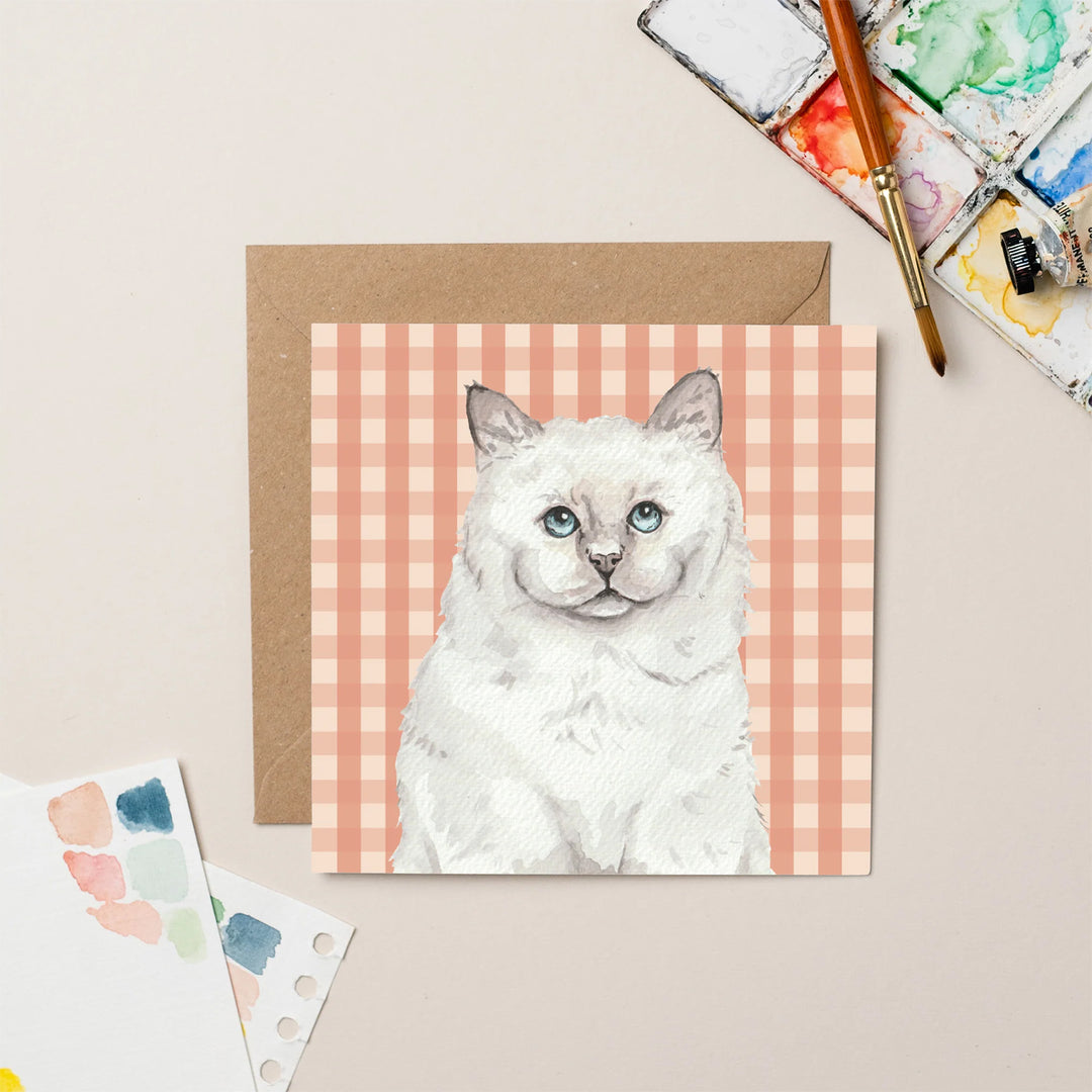 Lil Wabbit White Cat