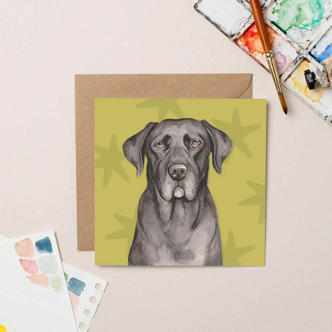 Lil Wabbit Labrador - Max