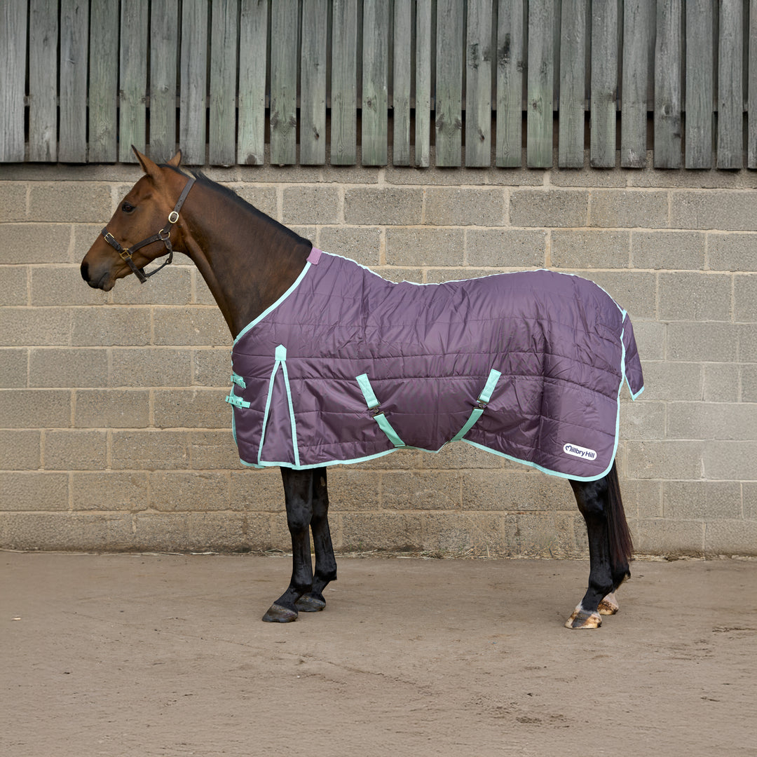 Millbry Hill Pro 200g Standard Stable Rug