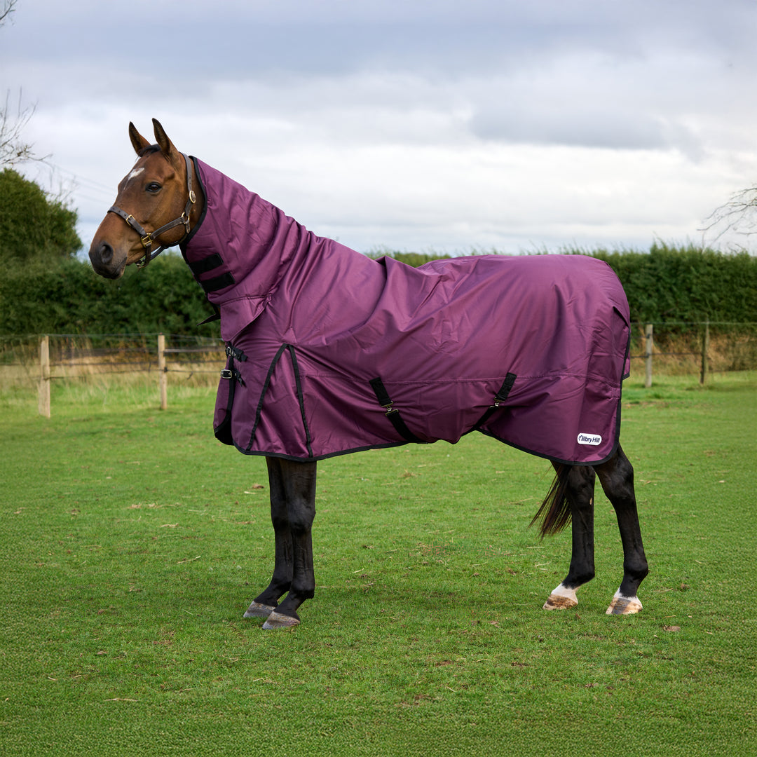 Millbry Hill Limited Edition 200g Combo Turnout Rug