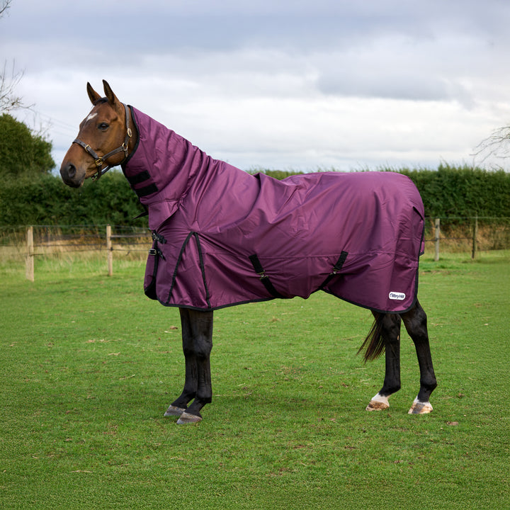 Millbry Hill Limited Edition 200g Combo Turnout Rug