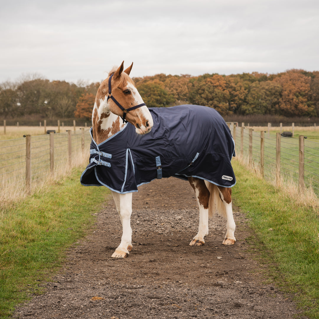 Millbry Hill 200g Classic Standard Turnout Rug