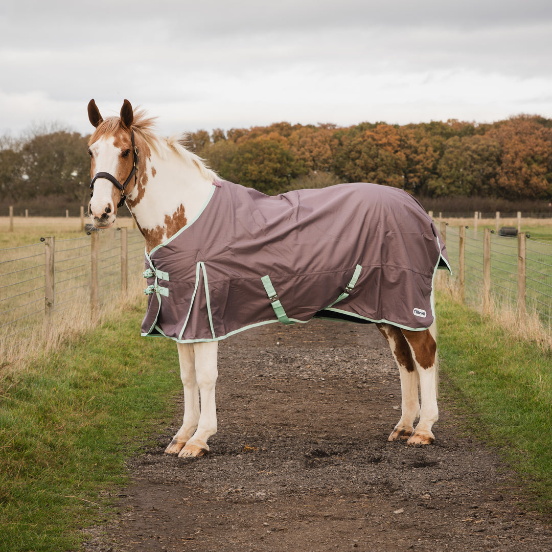 Millbry Hill 100g Pro Standard Turnout Rug