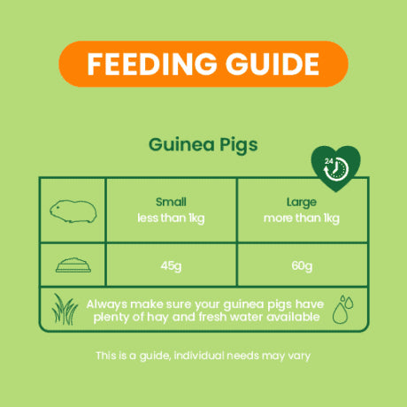 Burgess excel guinea pig food deals