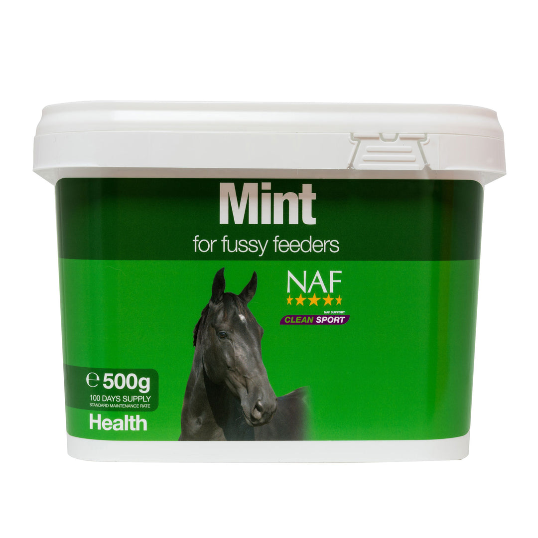 NAF Mint Supplement for Horses and Ponies 500g