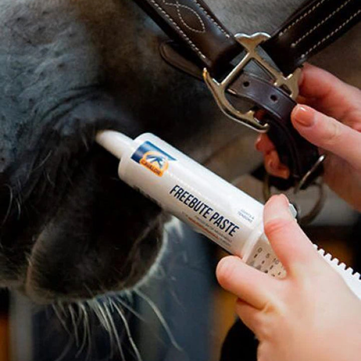 Cavlaor Free Bute Paste