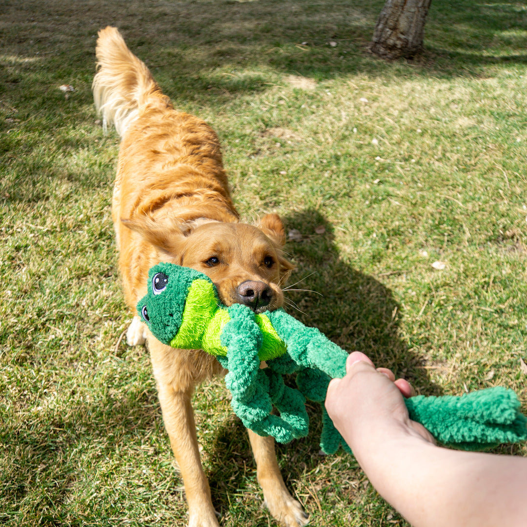 KONG Knots Frog Dog Toy