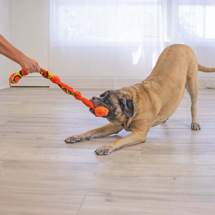 KONG Knots Snake Assorted Dog Toy