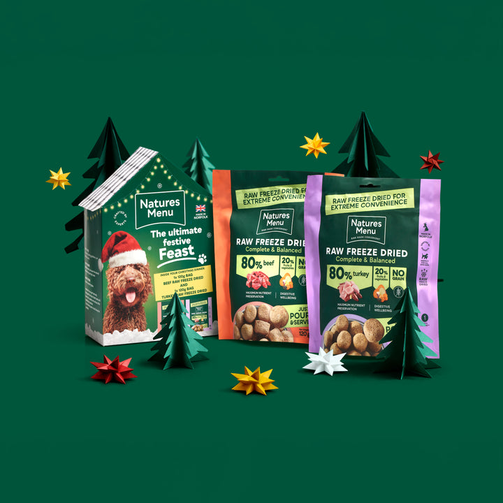 Natures Menu Christmas House Meals