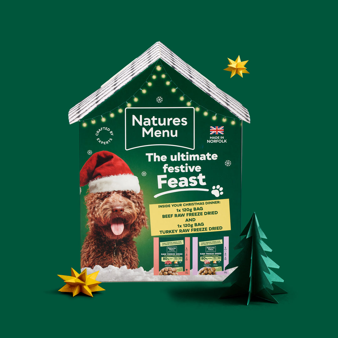 Natures Menu Christmas House Meals