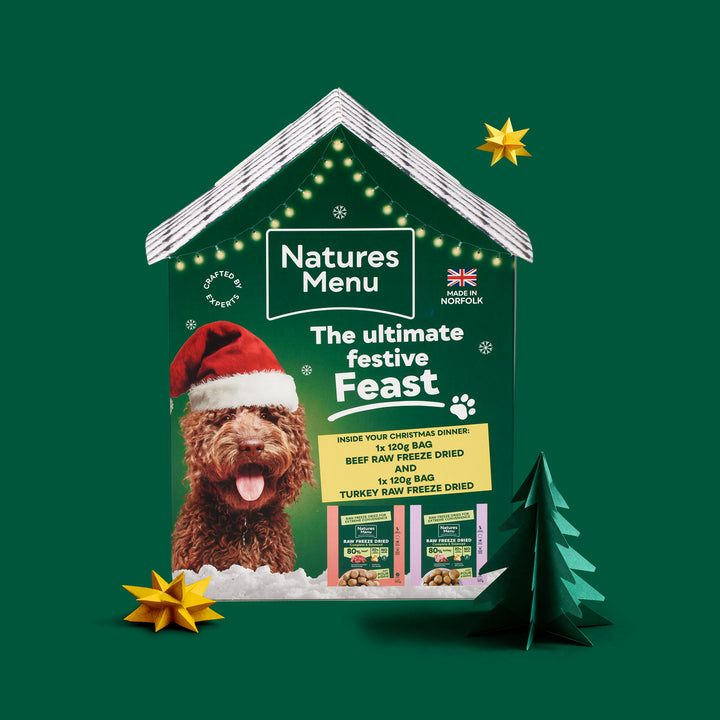 Natures Menu Christmas House Meals