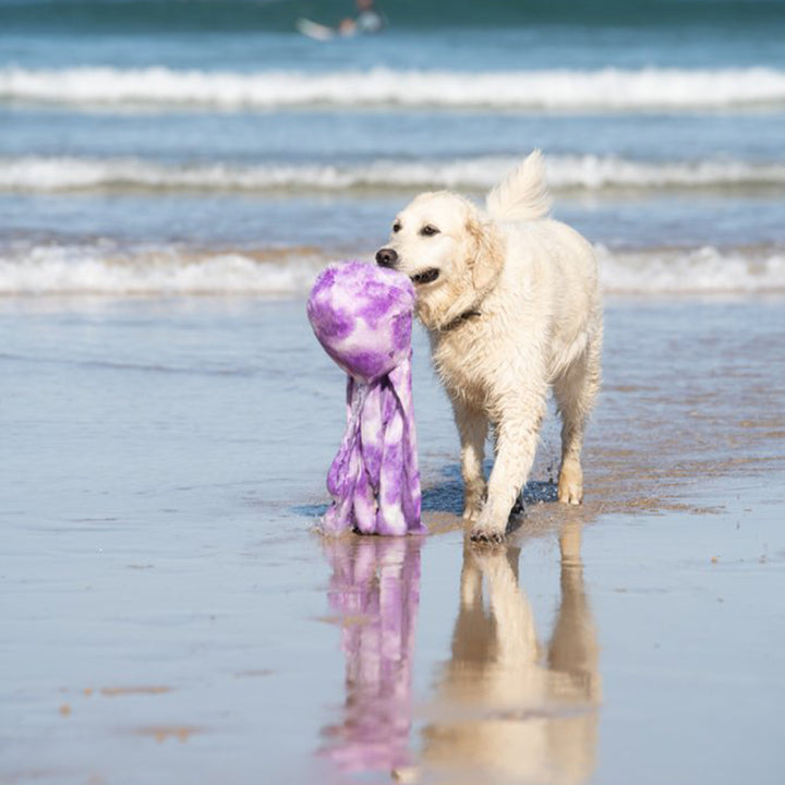 PetFace Buddies Orla Octopus Plush Dog Toy