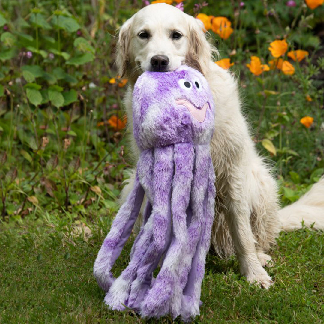 PetFace Buddies Orla Octopus Plush Dog Toy