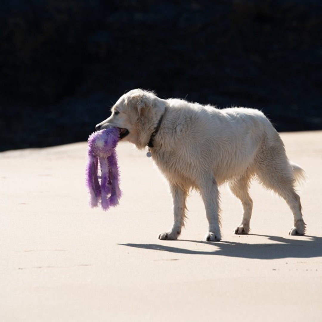 PetFace Buddies Orla Octopus Plush Dog Toy