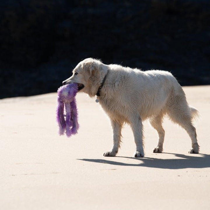 PetFace Buddies Orla Octopus Plush Dog Toy