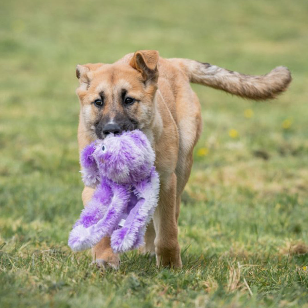 PetFace Buddies Orla Octopus Plush Dog Toy