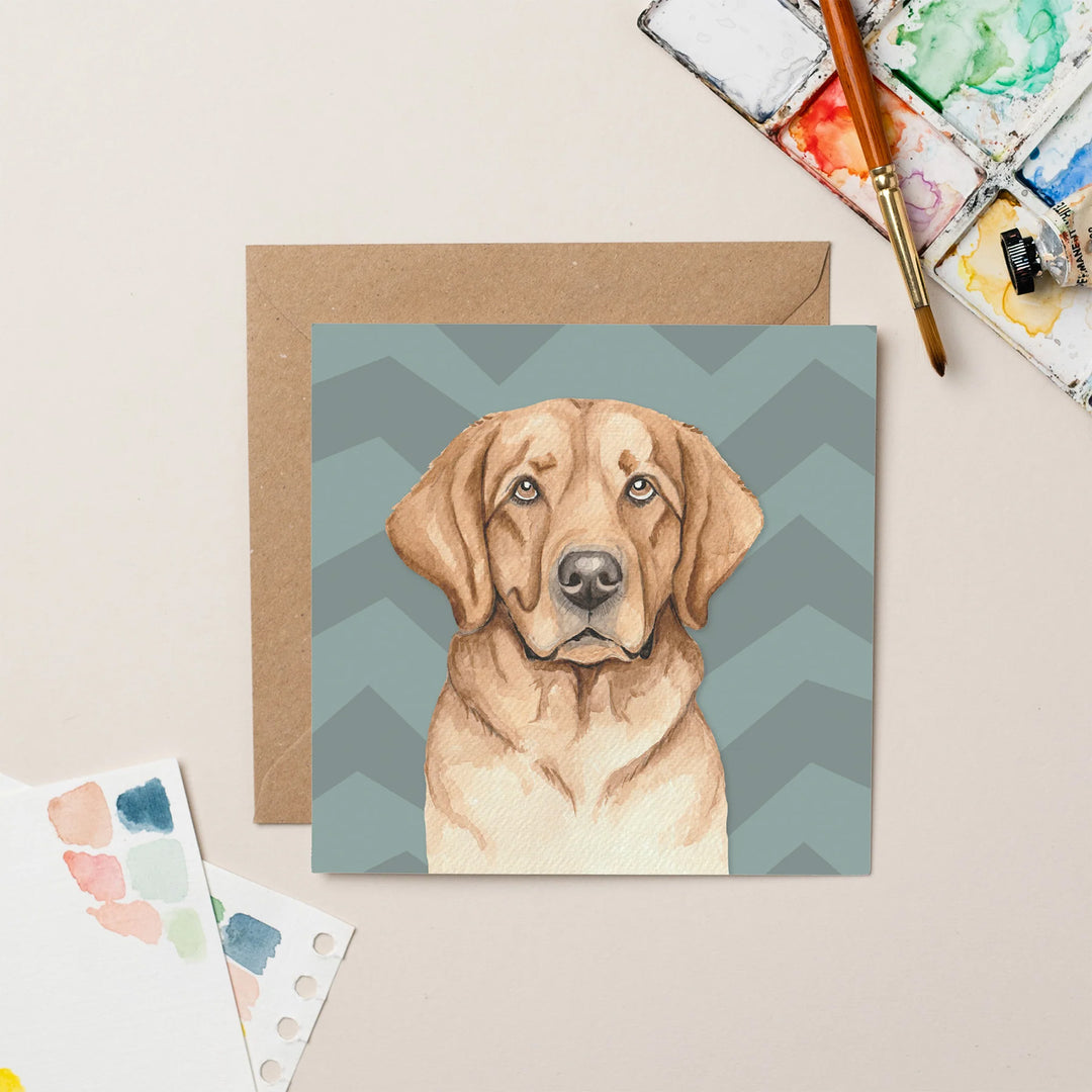 Lil Wabbit Golden Retriever - Otto