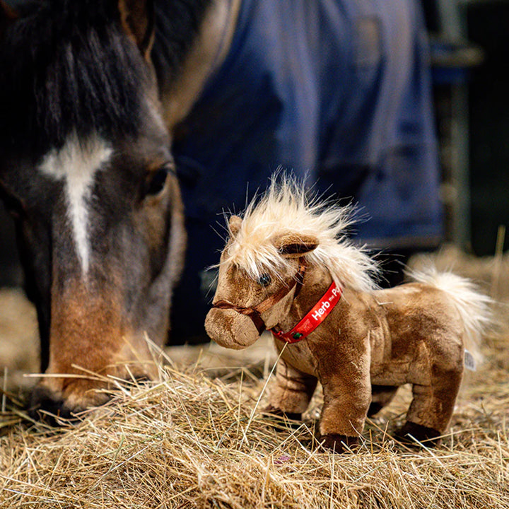 Tractor Ted Herb the Pony Soft Toy