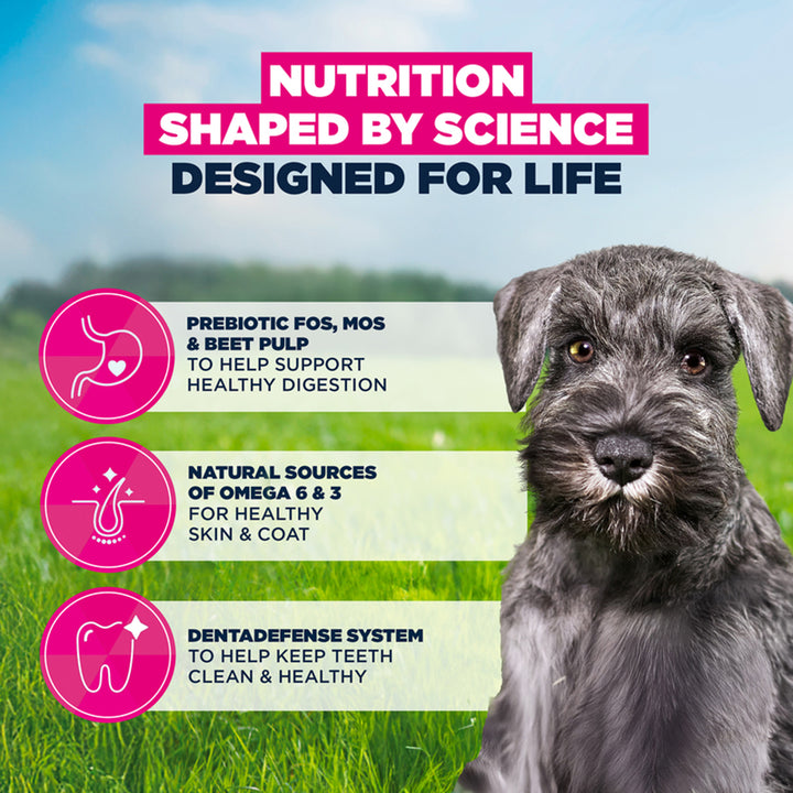Eukanuba Growing Puppy Small Breed Chicken