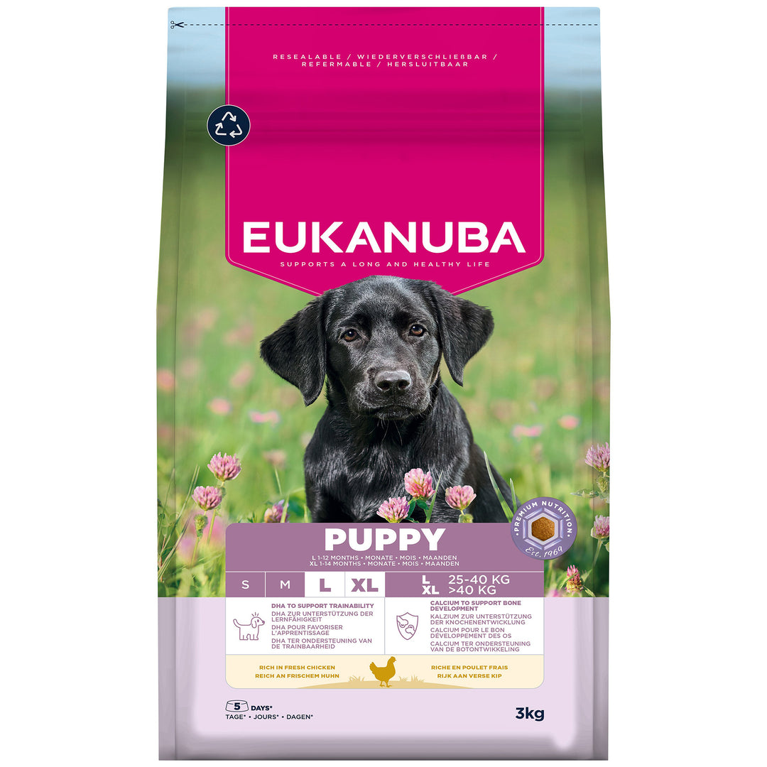 Eukanuba Growing Puppy Large Breed Chicken