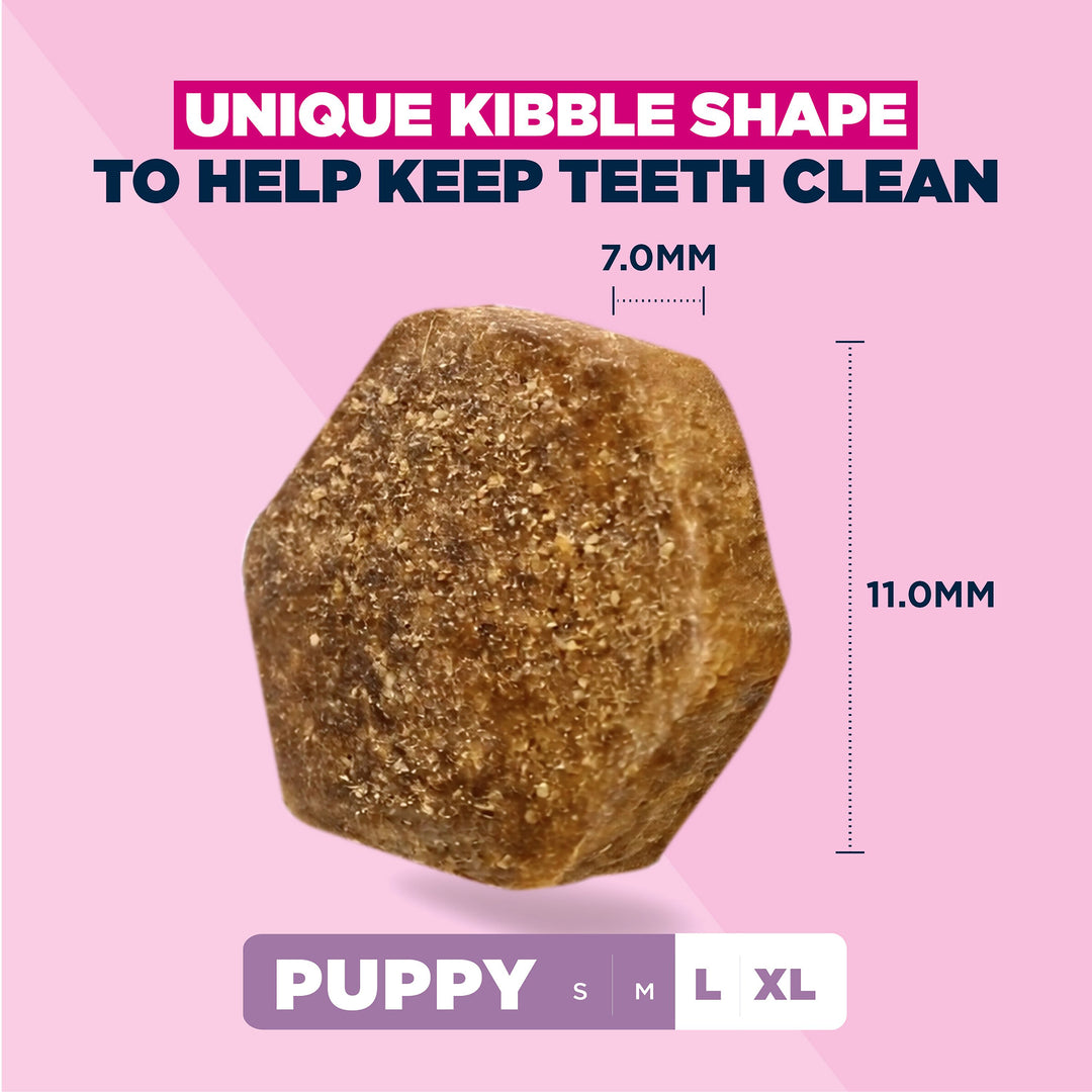 Eukanuba Growing Puppy Large Breed Chicken