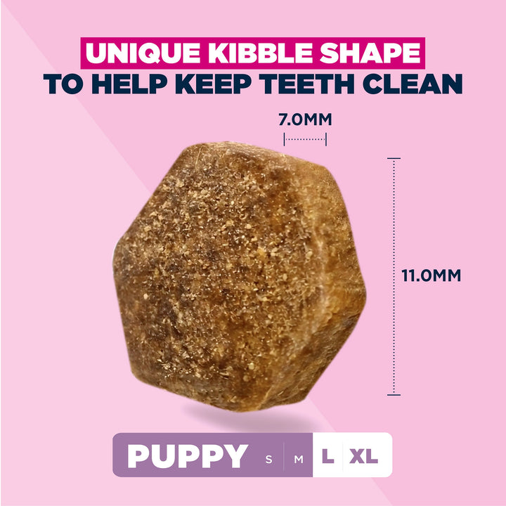 Eukanuba Growing Puppy Large Breed Chicken