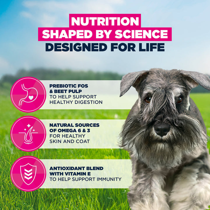 Eukanuba Active Adult Small Breed Chicken