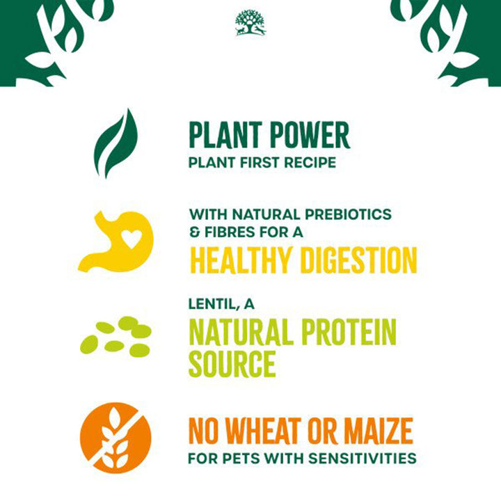 JW Dog Adult Plant Power Lamb 10 kg