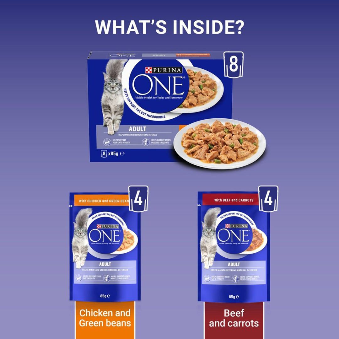 Purina One Adult Chicken & Beef Pouch