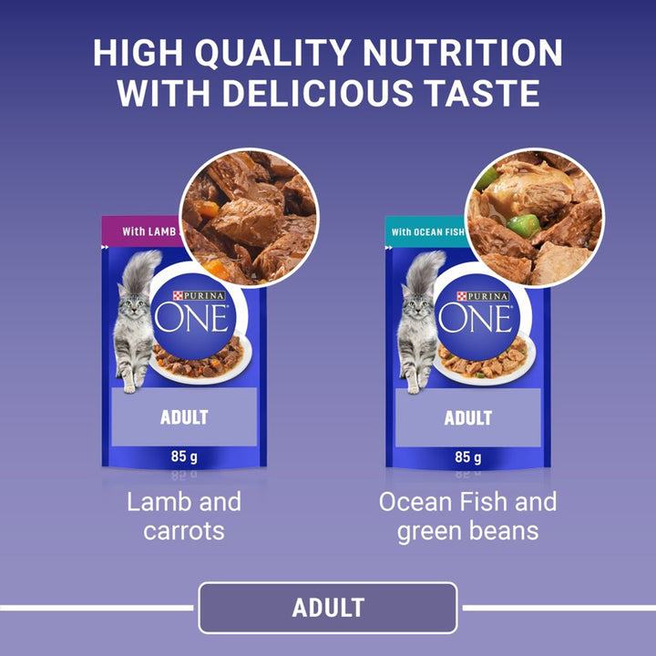 Purina One Adult Fish & Lamb Pouch