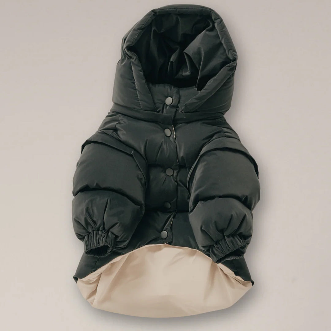 By Teddy Modular Dog Puffer Coat