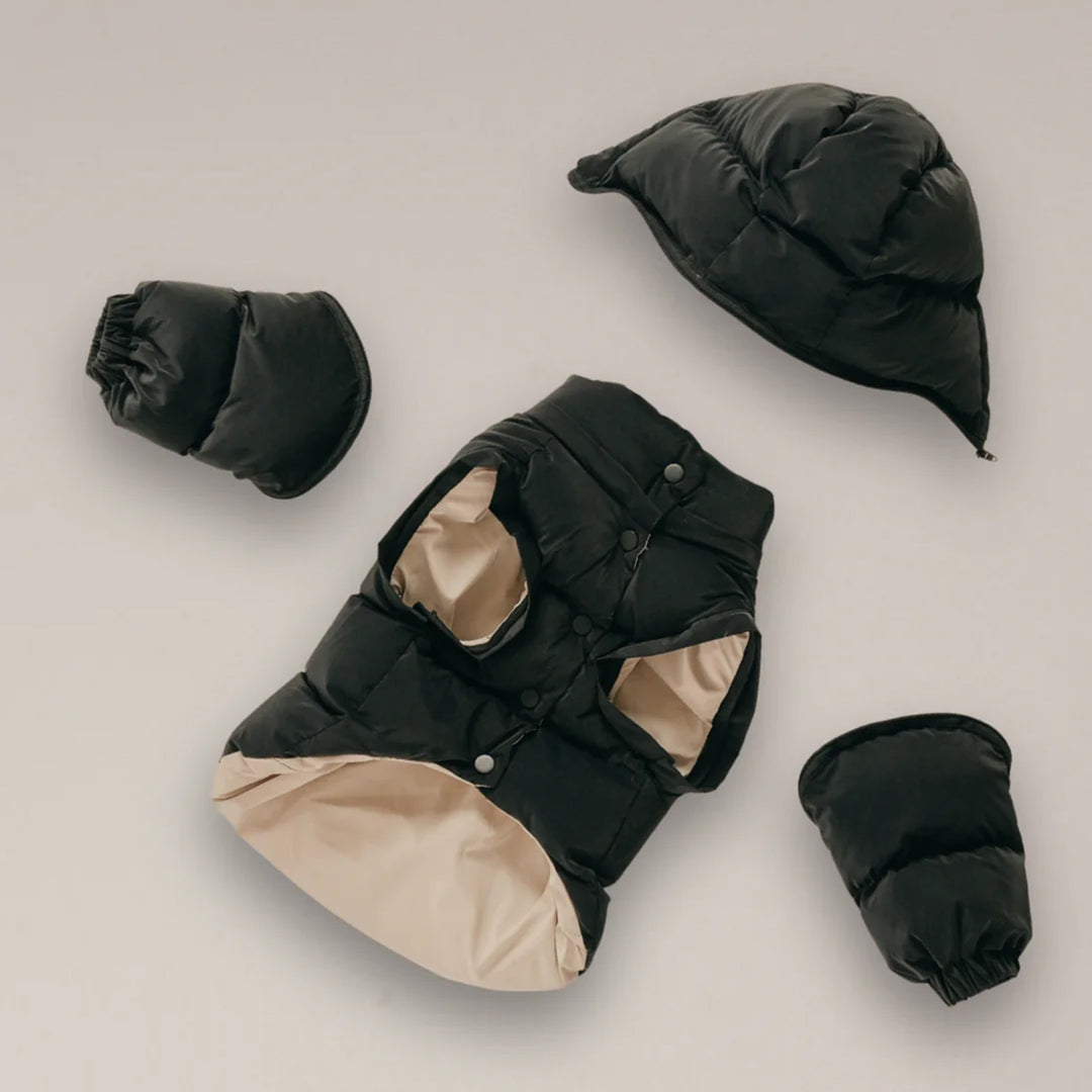 By Teddy Modular Dog Puffer Coat