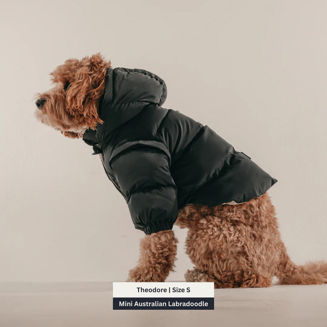 By Teddy Modular Dog Puffer Coat