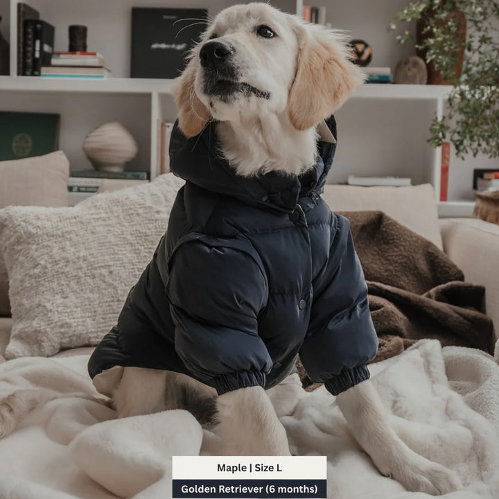 By Teddy Modular Dog Puffer Coat