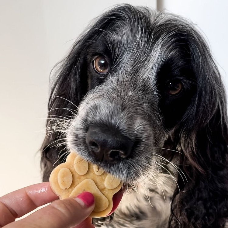 Dog & Bond Silicone Baking Mat