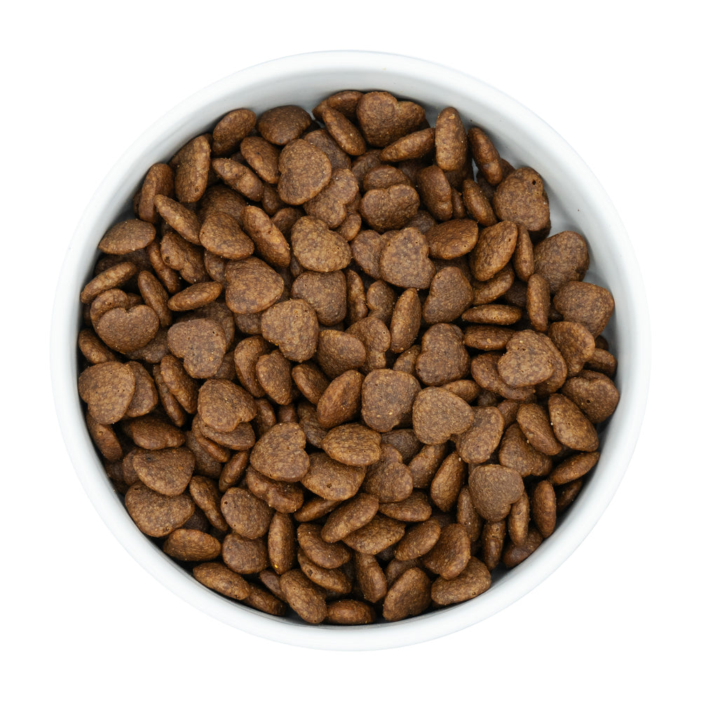 White bowl filled with brown heart-shaped pet food on a white background