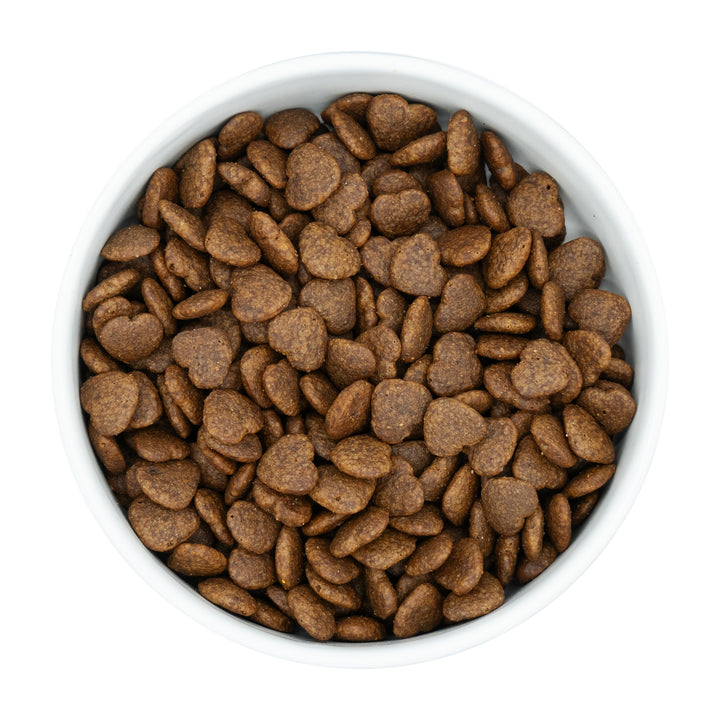 White bowl filled with brown heart-shaped pet food on a white background
