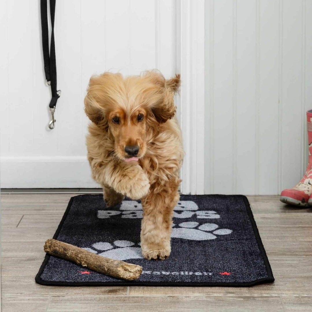 Pet Rebellion Stop Muddy Paws Rug